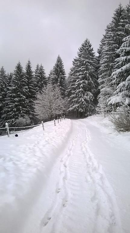 Waldpension Harzer Waldwinkel Bad Grund Dış mekan fotoğraf