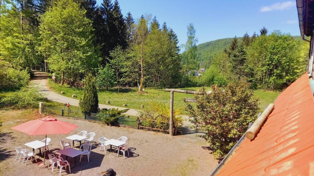 Waldpension Harzer Waldwinkel Bad Grund Dış mekan fotoğraf