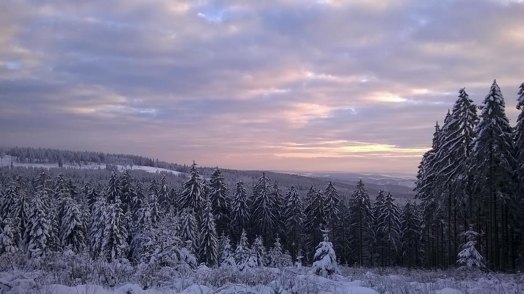 Waldpension Harzer Waldwinkel Bad Grund Dış mekan fotoğraf