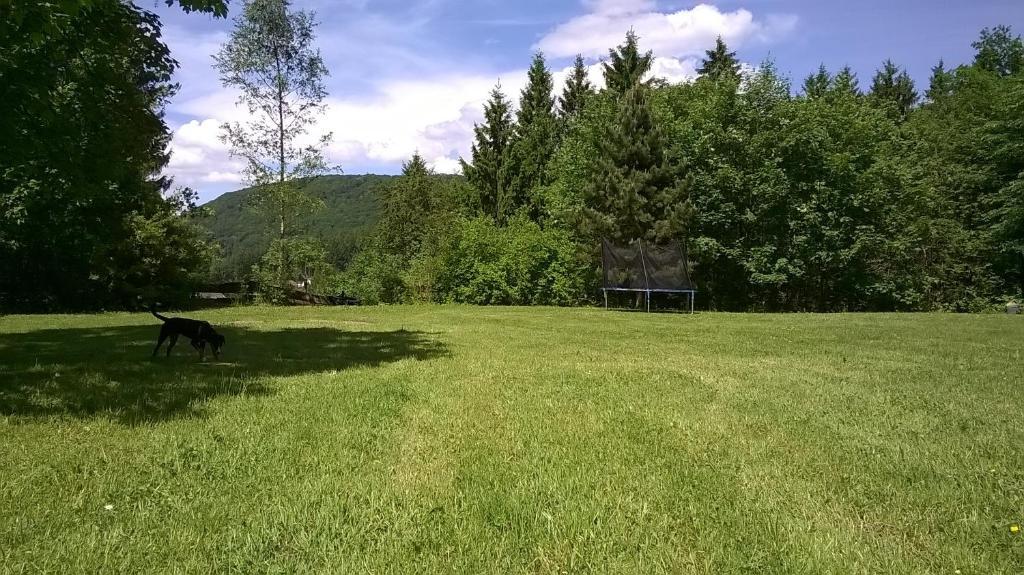 Waldpension Harzer Waldwinkel Bad Grund Dış mekan fotoğraf